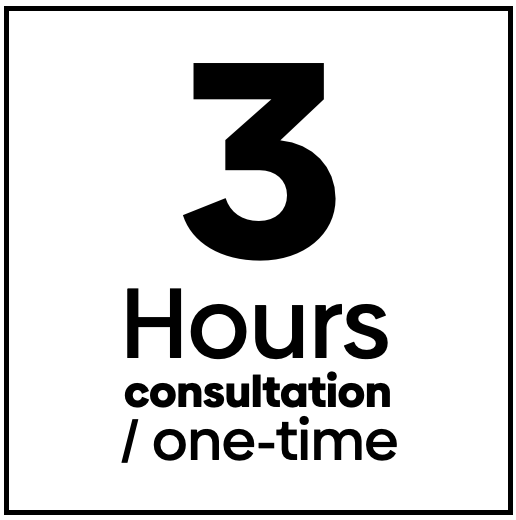 Hire a certified BigEV Expert - 3 Hours / one-time